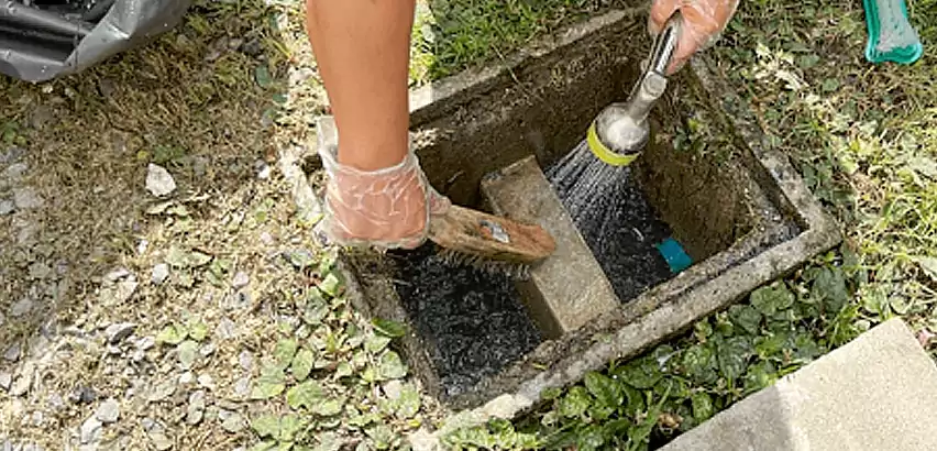 Professional Grease Trap Cleaning Services in University Place, WA