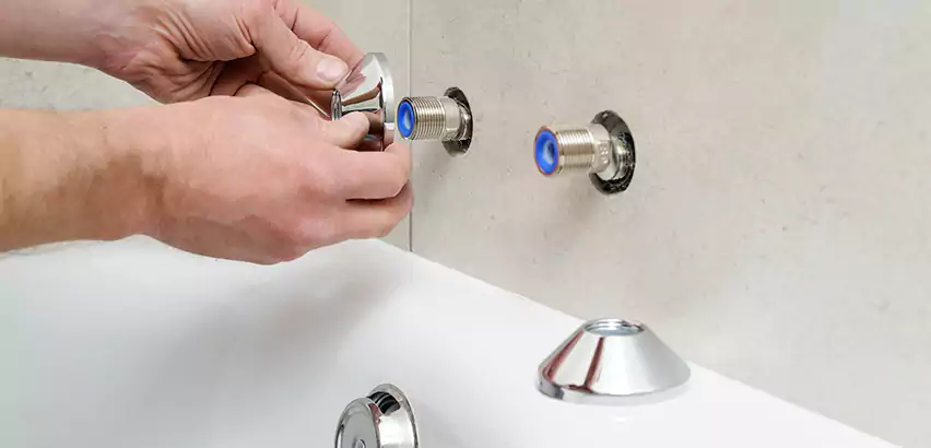 Bathtub Faucet Diverter Replacement in University Place
